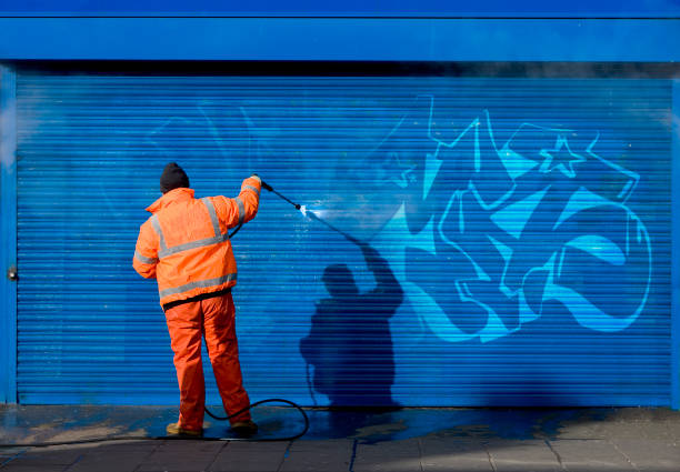 Best Garage Pressure Washing  in Green Hill, TN